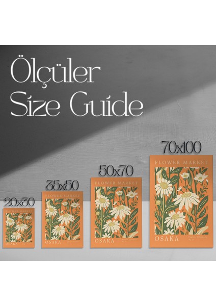 Osaka Papatya Çiçek Tarzı Botanik Illüstrasyon Tablosu modelleri