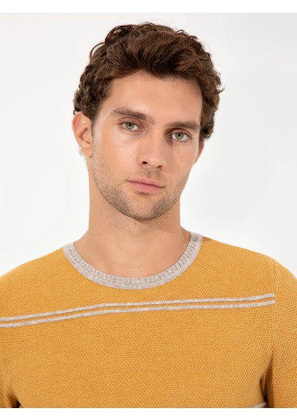 Erkek Sarı Slim Fit Yün Karışımlı Bisiklet Yaka Triko Kazak 50258829-VR044 modelleri