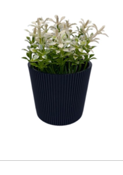 Çizgili Yuvarlak Saksı Çiçek -5706