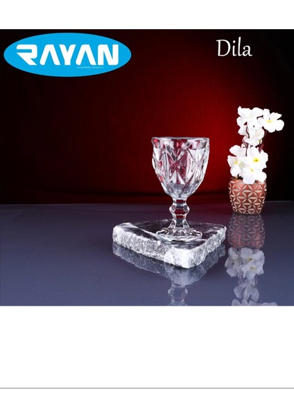 Dila 6'lı Kahve Yanı Bardak -RYG8006