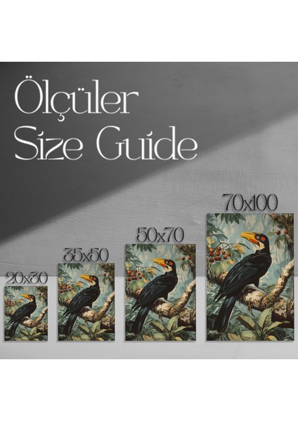 Tropikal Kuş Illüstrasyon Tablosu modelleri