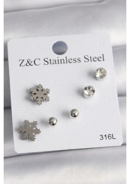 316L Çelik Gümüş Renk Zirkon Taşlı Kar Tanesi Model Kadın Küpe Seti