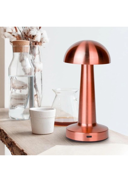 Mantar Model Bronz Renk Şarjlı Dokunmatik 3 Renkli LED Masa Lambası (5047) modelleri