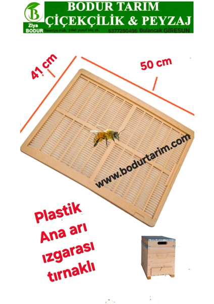 41X50 Kalite Plastik Tırnaklı Yüksek Ana Arı Izgarası