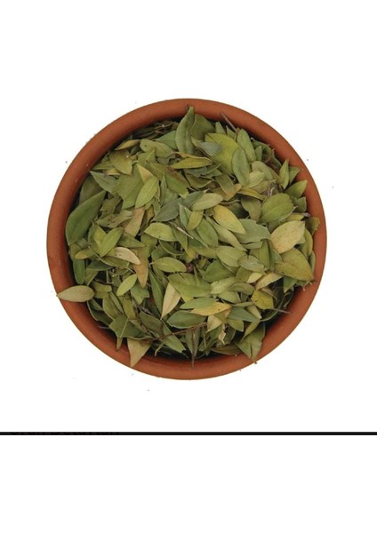 Yaban Mersini Yaprağı. Vaccinium Myrtillus. 100 gr