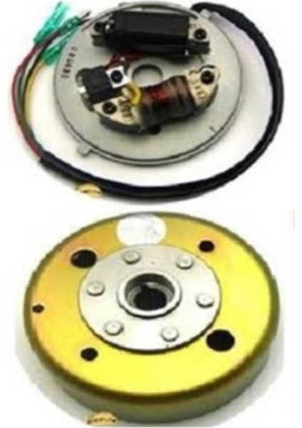 Manyeto + Rotor Komple Elektronik Mob.rbk