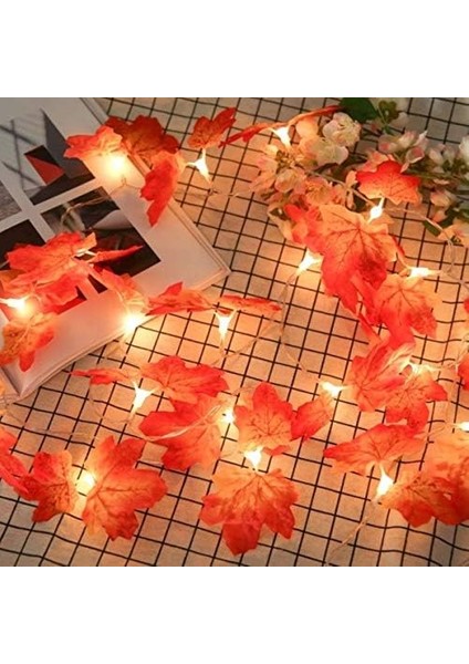 AA98YT1097 Sonbahar Konseptli Dekoratif Yaprak Desenli Şerit LED Gece Lambası, Kırmızı fiyatları