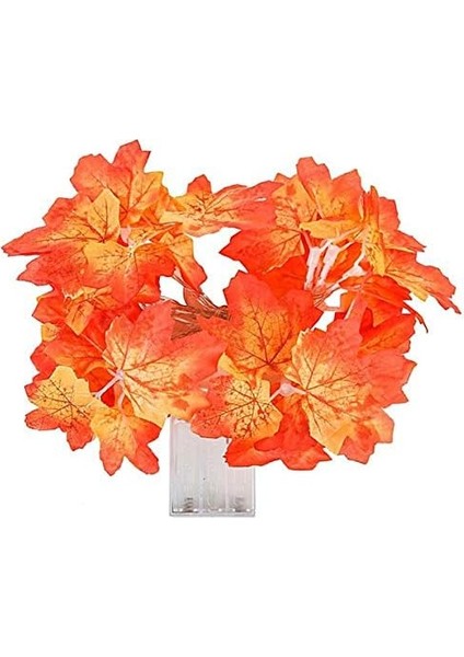 AA98YT1097 Sonbahar Konseptli Dekoratif Yaprak Desenli Şerit LED Gece Lambası, Kırmızı modelleri