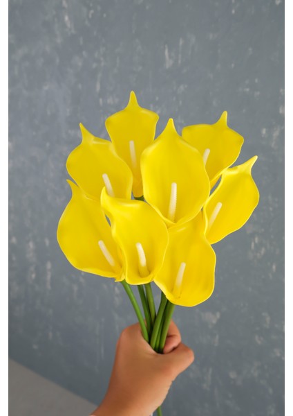 Sarı 8’li Gala Demet