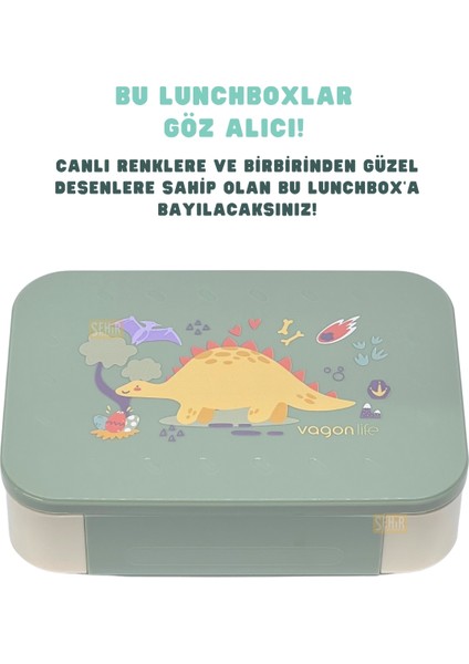 Bento 900ML Lunchbox Yeni Koleksiyon Tek Katlı 2 Bölmeli Pp Plastik Çocuk Sefer Tası Yemek Kutusu fiyatları