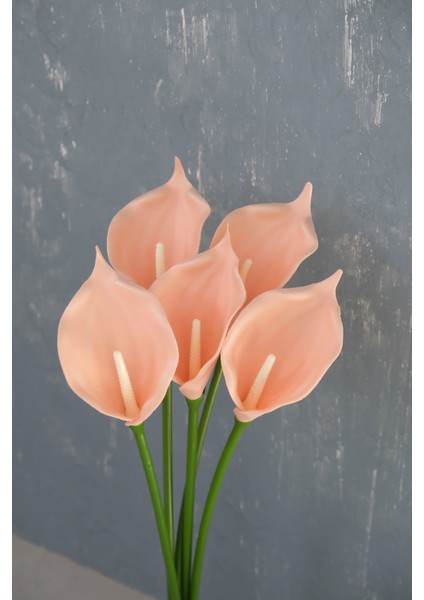 Somon 5’li Gala Demet fiyatları