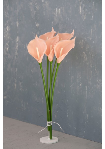 Somon 5’li Gala Demet modelleri