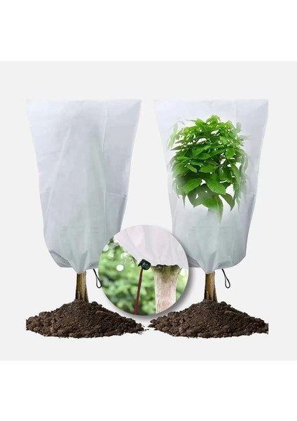11305 Bahçe Bitkileri Için Soğuktan Koruma Örtüsü 30 G - 2,4 M x 10 M modelleri