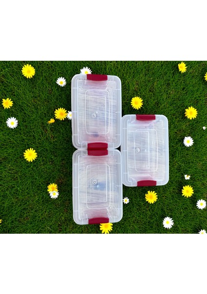 3'lü Saklama Kabı / Şeffaf Şık Görünüm Rahat Kullanım Sızdırmaz Kapak