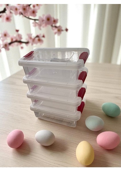 4'lü Saklama Kabı / Şeffaf Klipsli Kapak Sızdırmaz Şık Tasarım fırsatları