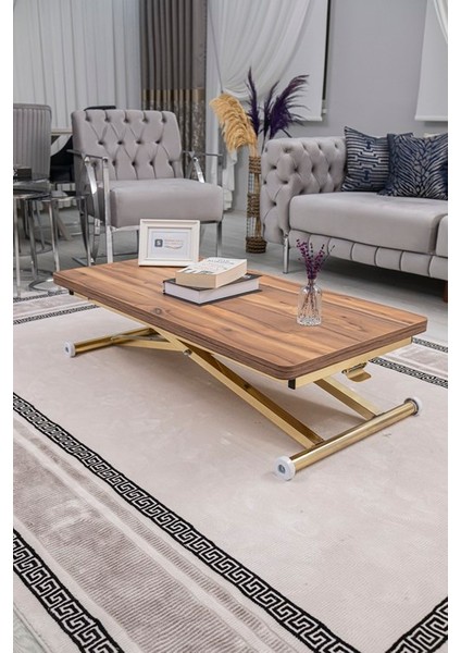 Home Üst Tabla Mdf Oval Köşe Alt Ayak Gold Kaplama indirimleri