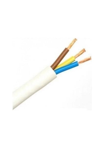 3x2,5 Mm2 Ttr H05W-F Beyaz Kablo (Koç Kablo)