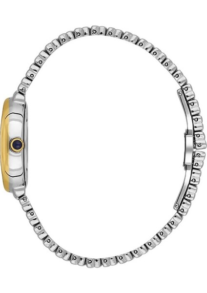 Danıel Kleın DK.3.10056-3 Altın Kaplama Oval Kadın Kol Saati fiyatları