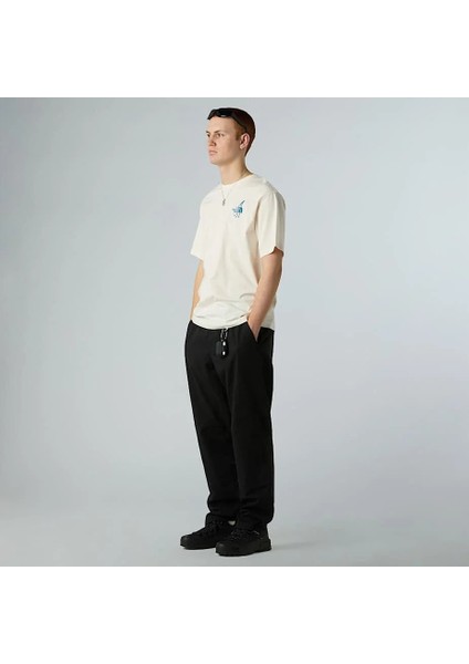 U Powder Days Relaxed S/s Tee-Graphıc Erkek Tişört NF0A8E4DQLI1 modelleri