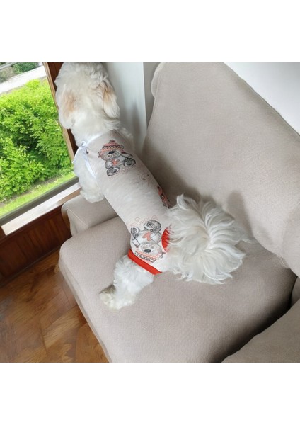 Köpek Regl Külotu ,dişi Köpek Regl Zıbın Külot, Dişi Köpek Periyot Külotu