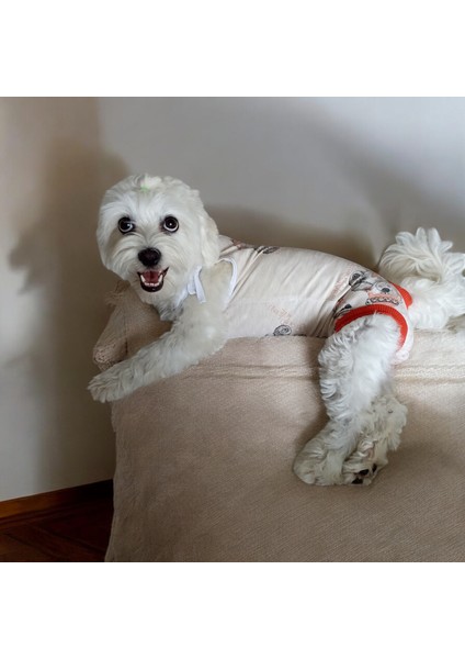 Köpek Regl Külotu ,dişi Köpek Regl Zıbın Külot, Dişi Köpek Periyot Külotu fiyatları