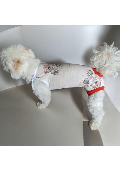 Köpek Regl Külotu ,dişi Köpek Regl Zıbın Külot, Dişi Köpek Periyot Külotu modelleri