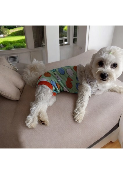 Köpek Regl Külotu , Dişi Köpek Regl Zıbın Külot