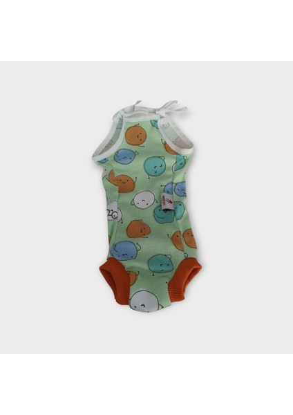 Köpek Regl Külotu , Dişi Köpek Regl Zıbın Külot indirimleri