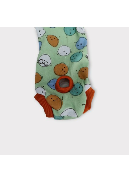 Köpek Regl Külotu , Dişi Köpek Regl Zıbın Külot