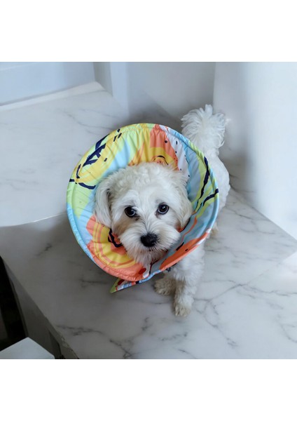 Kedi ve Köpek Koni Yakalığı ,elizabeth Yakalık, Ameliyat Sonrası Koruyucu Yakalık