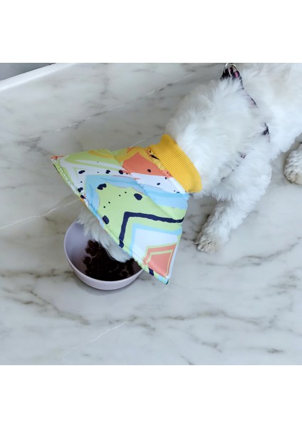 Kedi ve Köpek Koni Yakalığı ,elizabeth Yakalık, Ameliyat Sonrası Koruyucu Yakalık fiyatları