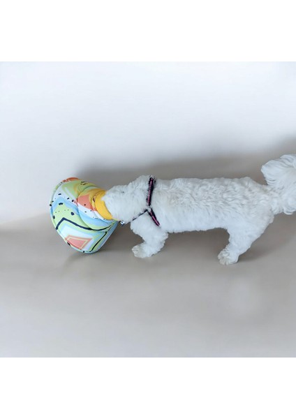 Kedi ve Köpek Koni Yakalığı ,elizabeth Yakalık, Ameliyat Sonrası Koruyucu Yakalık modelleri