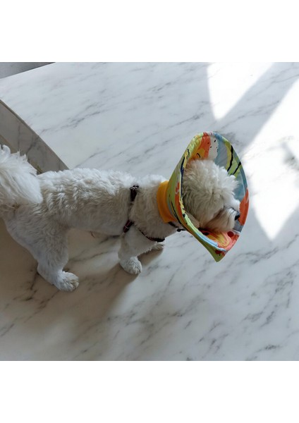 Kedi ve Köpek Koni Yakalığı ,elizabeth Yakalık, Ameliyat Sonrası Koruyucu Yakalık fırsatları