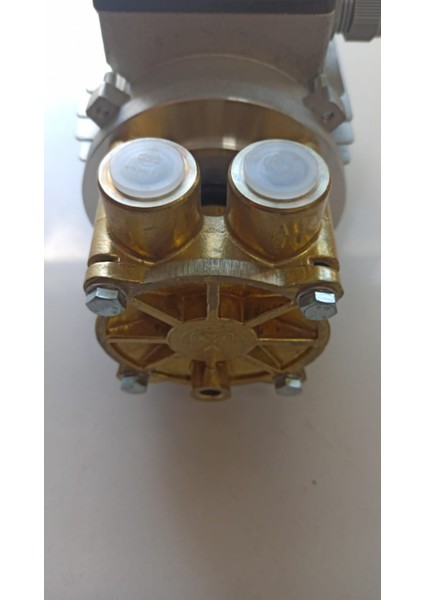 -Pumpen D-91154 NPY-2051.0221 Roth Vakum Havuz Pompası 2800RP 52M 30 I/min indirimleri
