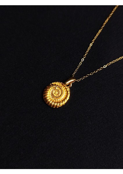 Deniz Kabuğu Çelik Kolye fırsatları