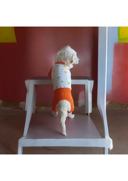 Köpek Penye Pijama, Köpek Penye Tulum fiyatları