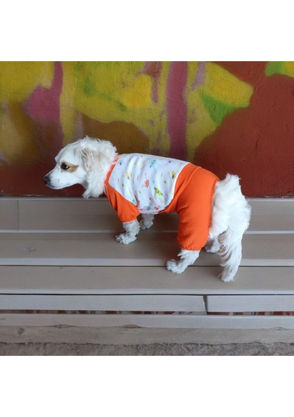 Köpek Penye Pijama, Köpek Penye Tulum fırsatları