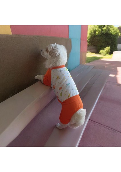 Köpek Penye Pijama, Köpek Penye Tulum indirimleri