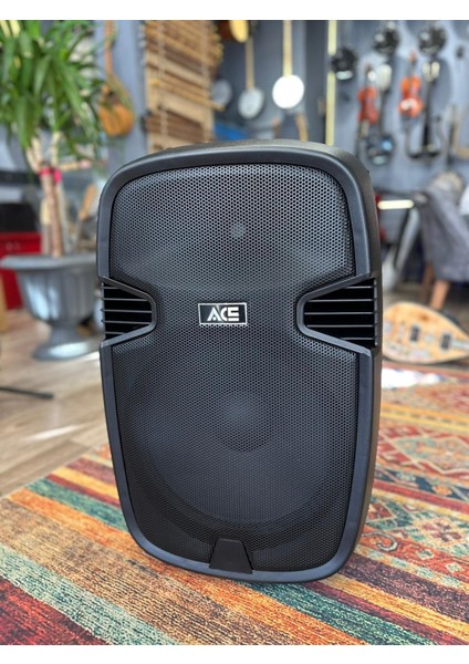 PAQ-15AB 300 Watt Taşınabilir Şarjlı Amfi