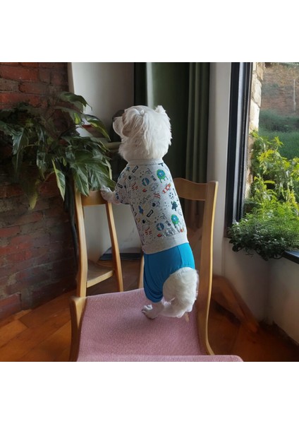 Köpek Penye Pijama , Köpek Penye Tulum