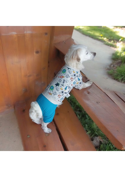 Köpek Penye Pijama , Köpek Penye Tulum modelleri