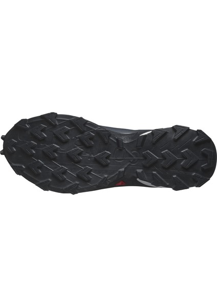 SUPERCROSS 4 GORE-TEX Erkek Koşu Ayakkabısı Grisaille L47462300 fırsatları