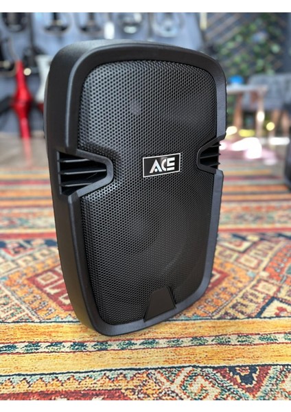 PAQ10BL Şarjlı Taşınabilir Bluetootlu Amfi fiyatları