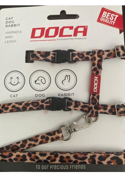 Kedi, Köpek Tasması