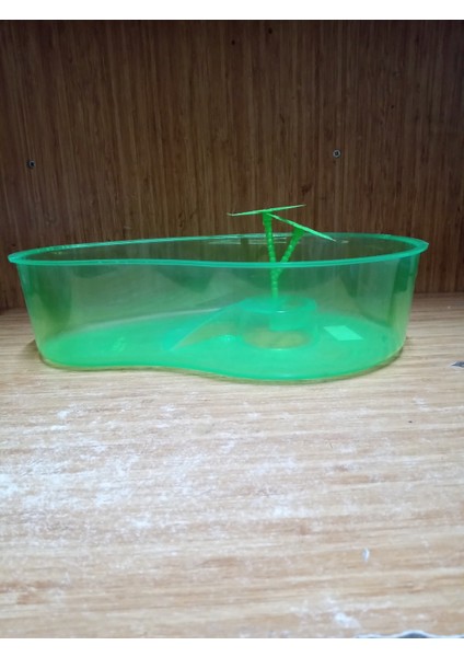 Kaplumbağa Bahçesi 30X8X7 CM