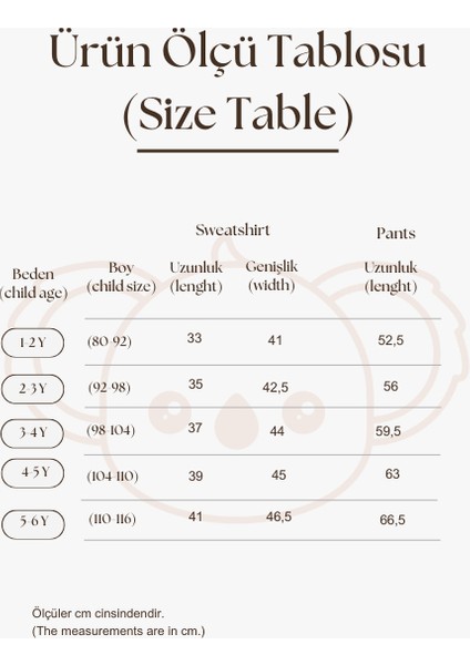 Bej Omuz Nakışlı Asimetrik Detaylı Alt Üst Takım modelleri