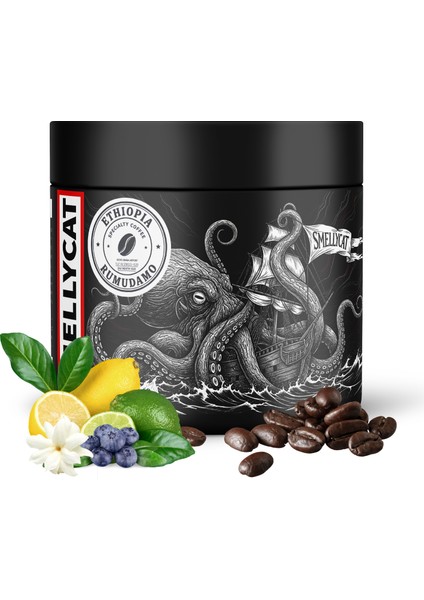 Etiyopya Rumudamo Filtre, V60, Espresso Kahvesi