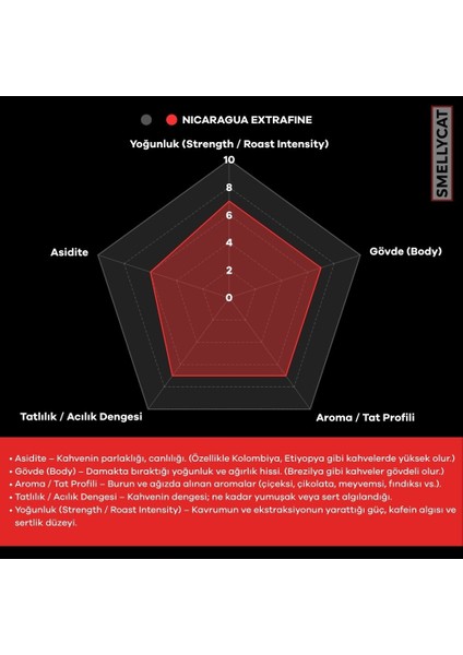 Nicaragua Extrafine Filtre, V60, Espresso Kahvesi fırsatları