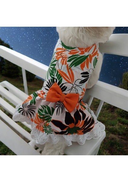 Köpek Elbisesi, Kedi Elbisesi modelleri