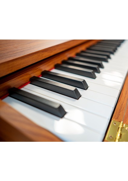 Hammer Hme-50 Br 88 Tuşlu Dijital Piyano | Ev Tipi (Kahverengi)